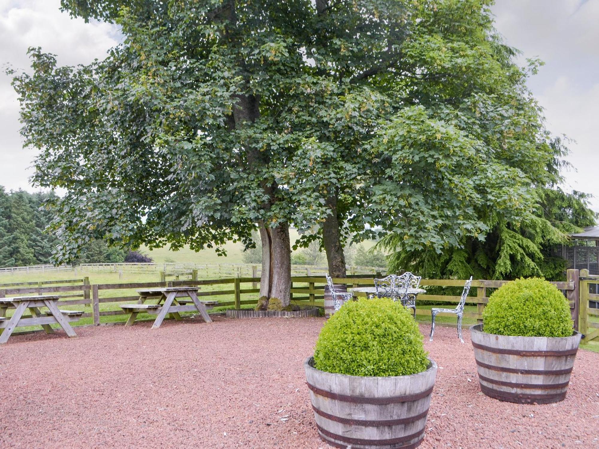 Grooms Cottage Elsdon ภายนอก รูปภาพ